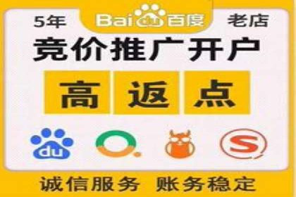 百度推广实战：打造爆款产品案例解析